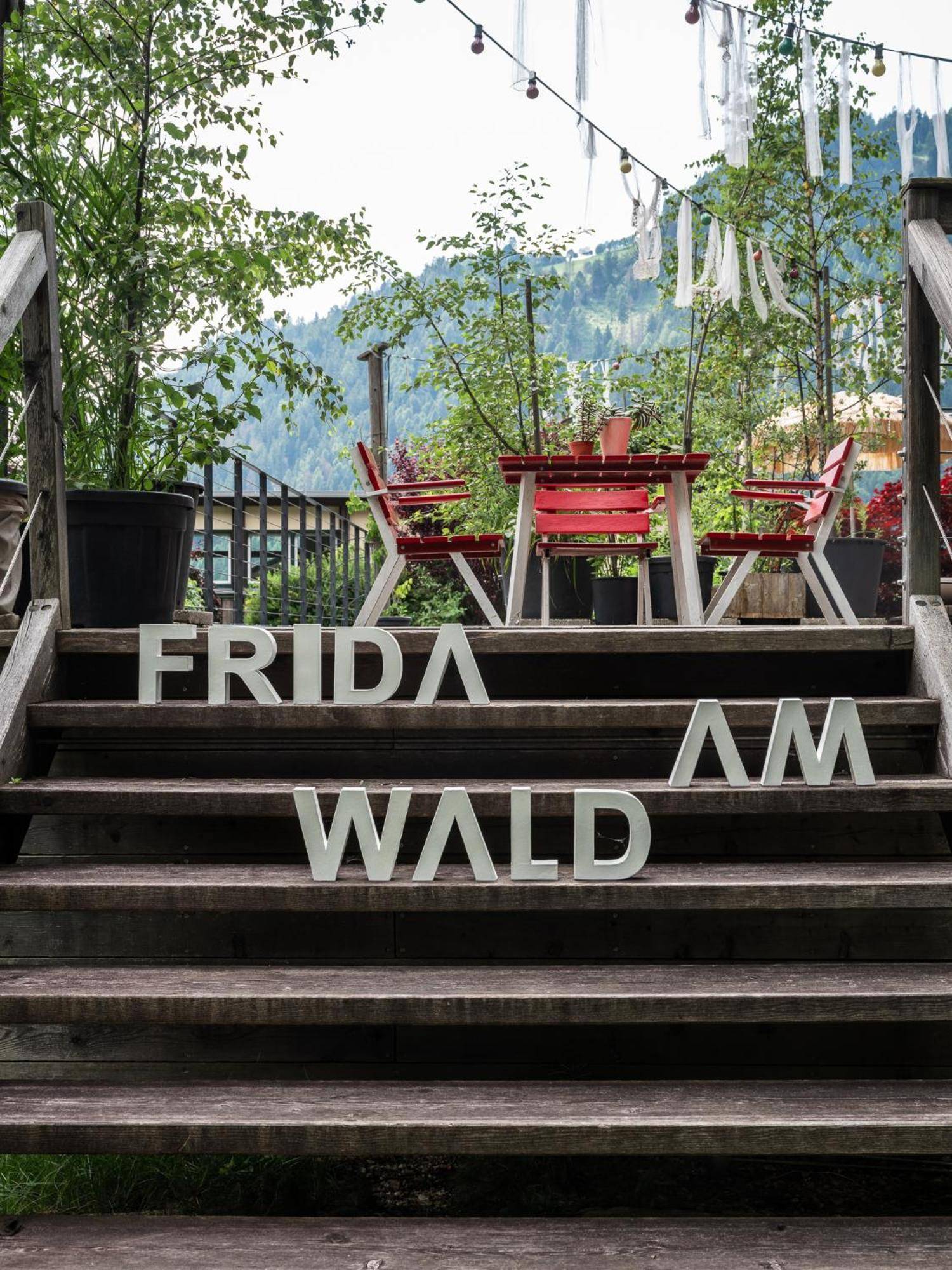 Frida am Wald 2
