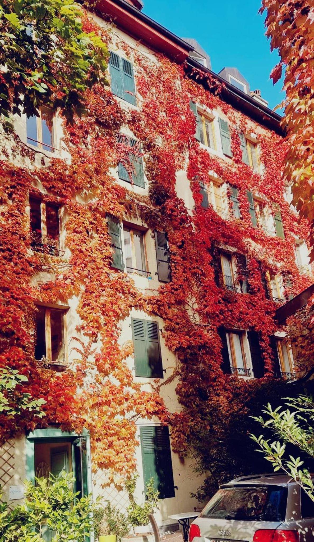 Appart'Hôtel Residence Dizerens 1