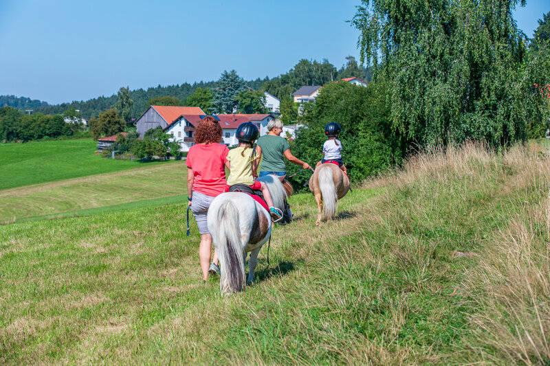 Familienhotel Reiterhof Runding 1