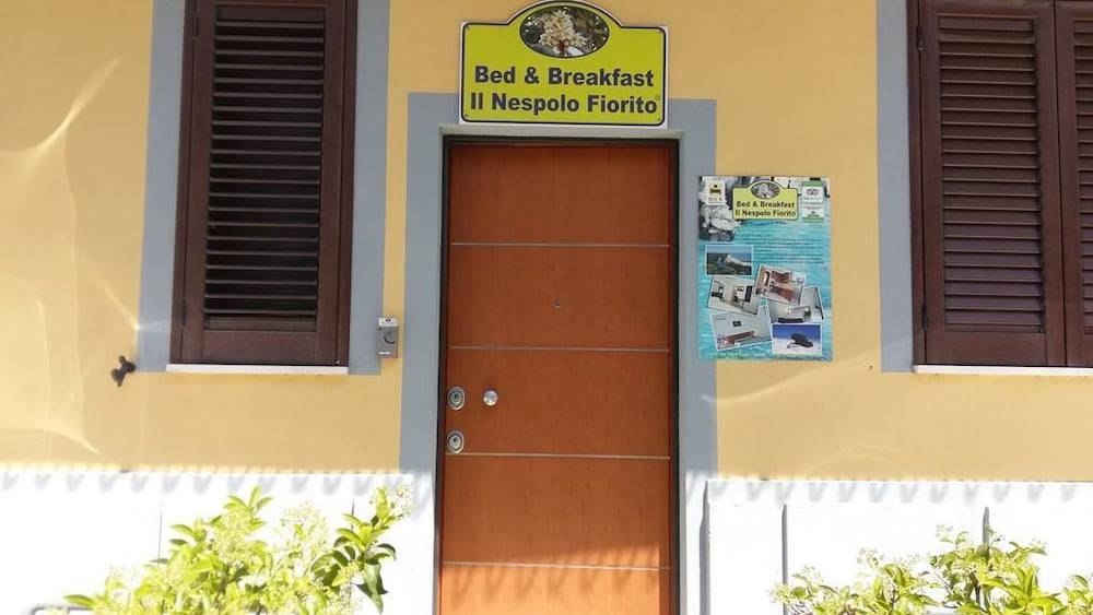 Domo - Guest-House Il Nespolo Fiorito 2