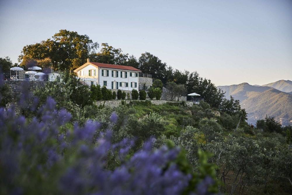 Il Leccio Luxury Resort 1