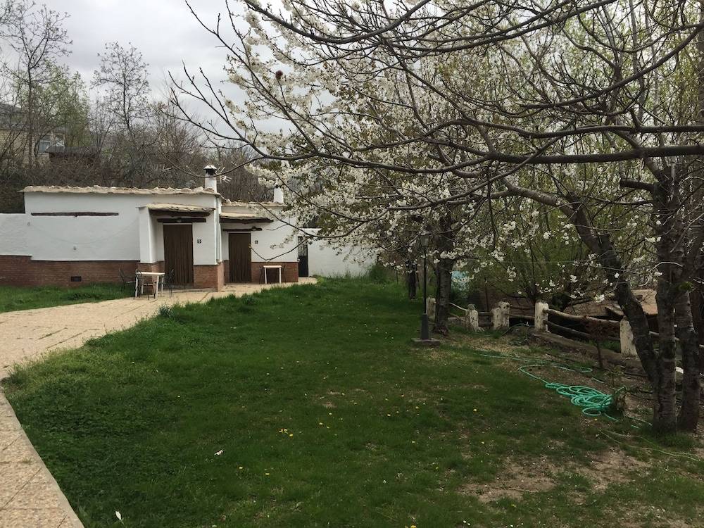 Camping El Balcon de Pitres 1