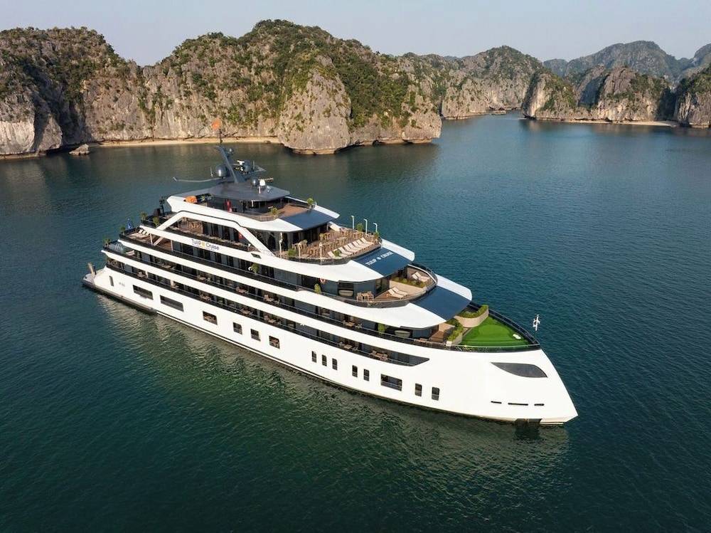 Dora Cruise 1