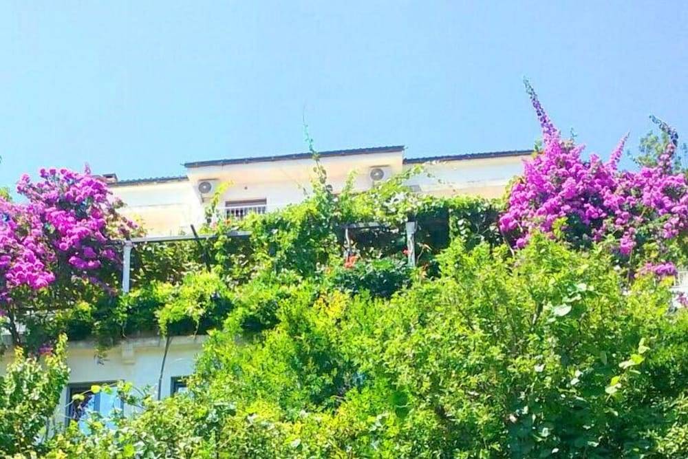 Madra Rooms and Apartments 1