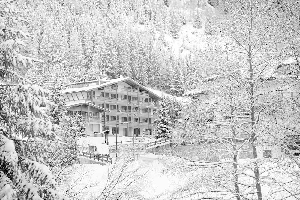 ArtHotel Anterleghes - Gardenahotels 1