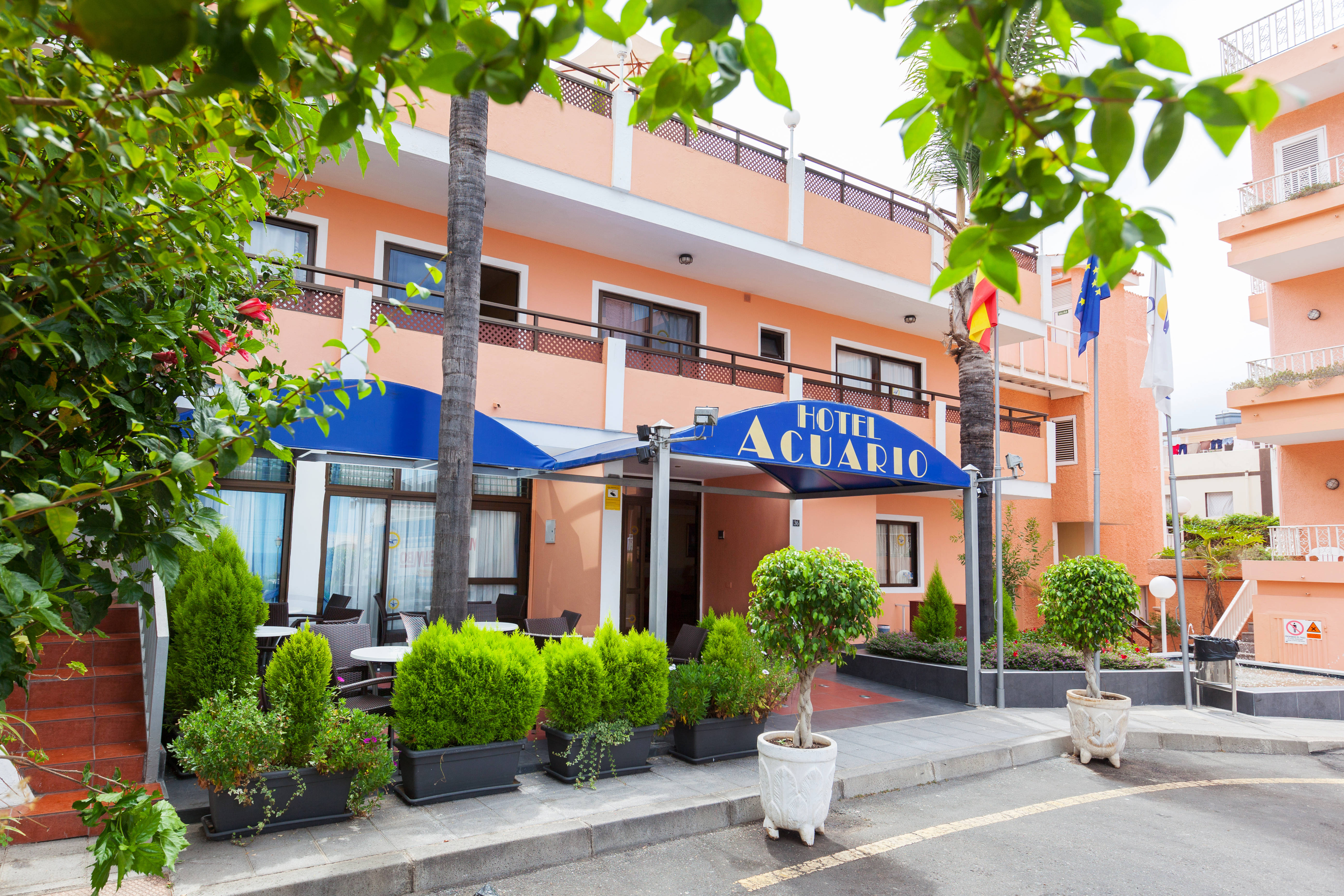 Globales Acuario 2