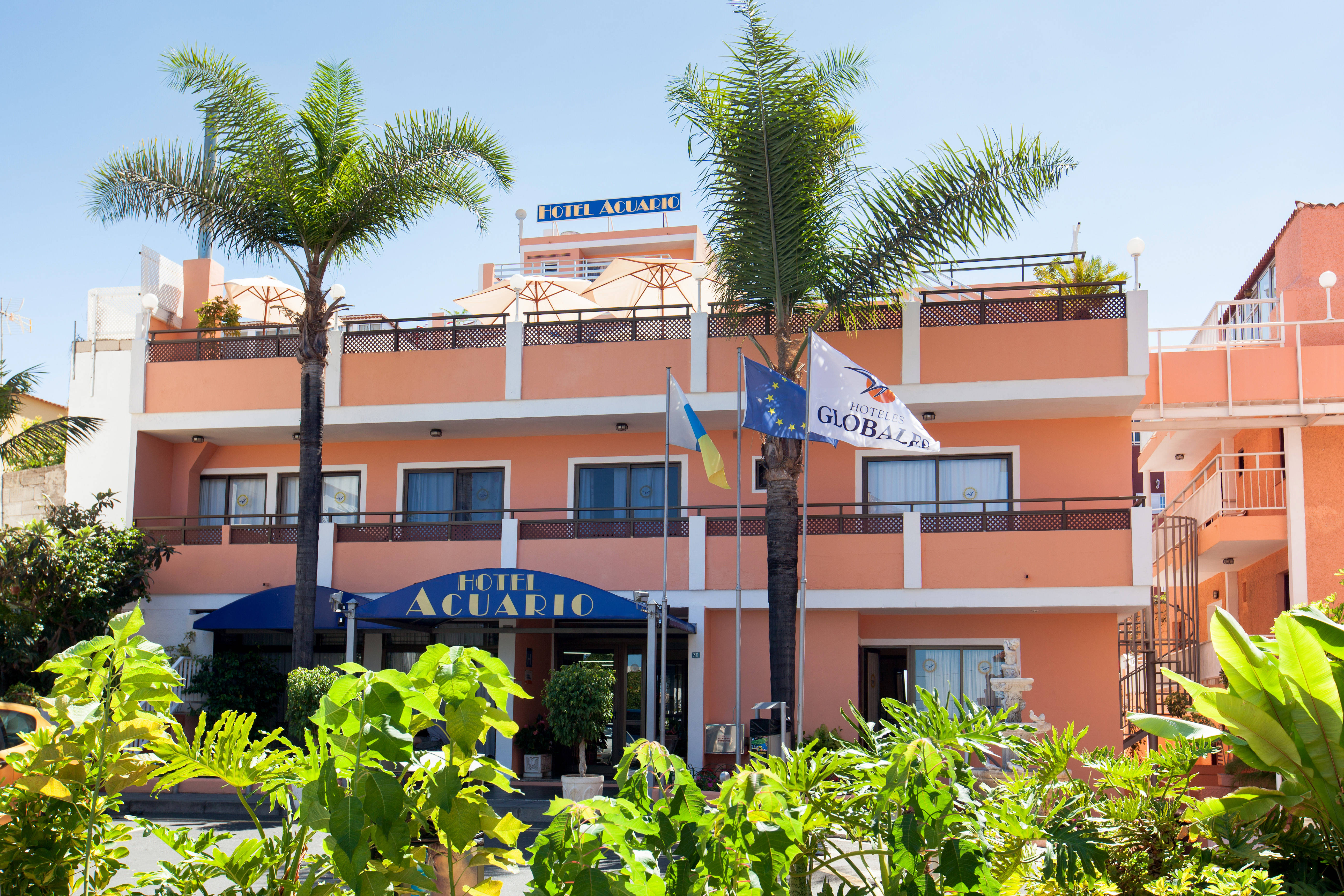 Globales Acuario 1