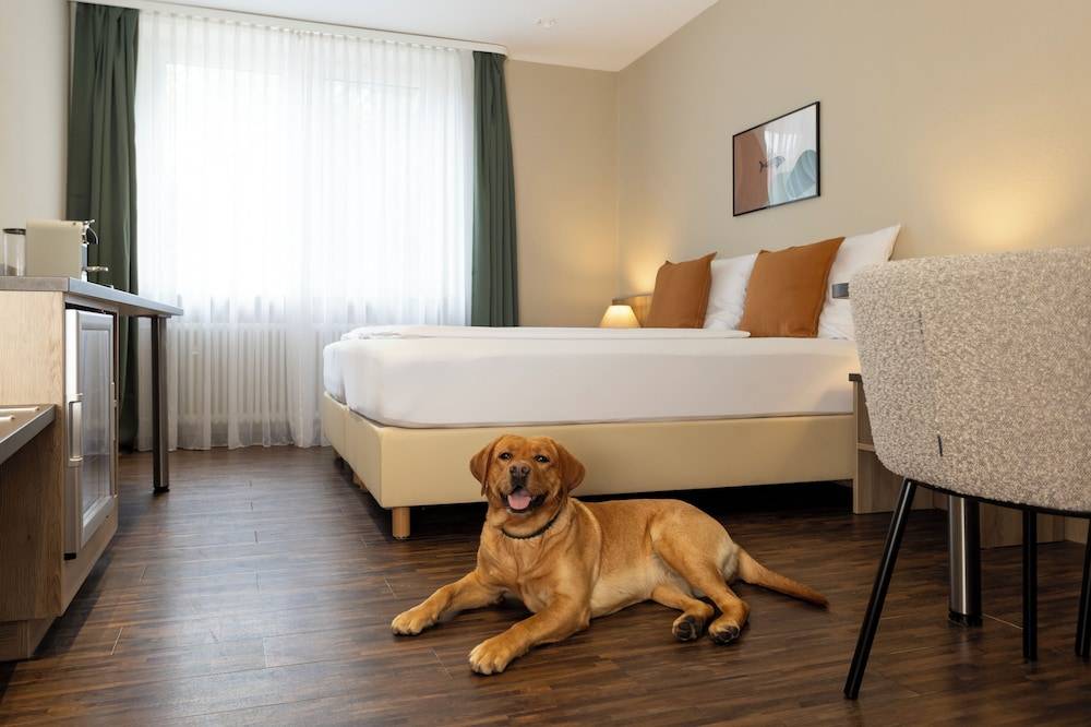 homie hotel fischzucht 1