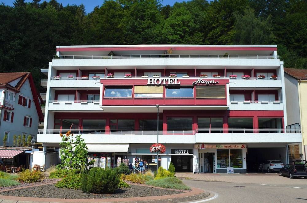 Hotel Harzer am Kurpark 1