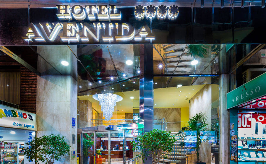 Hotel Avenida 1