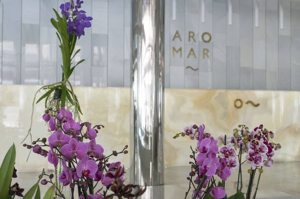Hotel Aromar 2