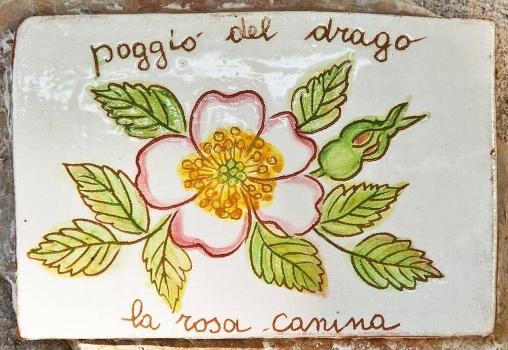 Agriturismo Poggio del Drago 2