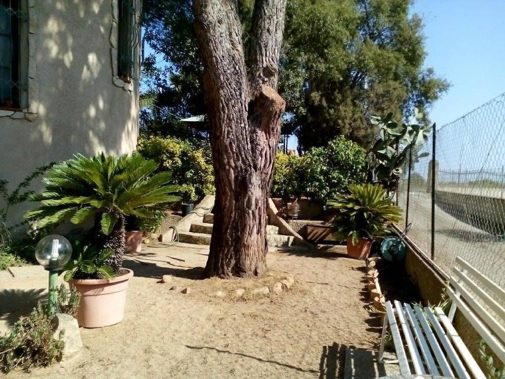 B&B Il Vigneto 1
