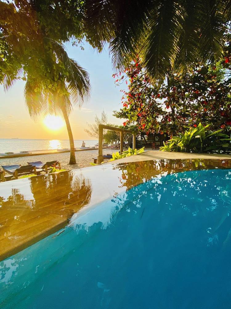 Mangrove Lodge 1