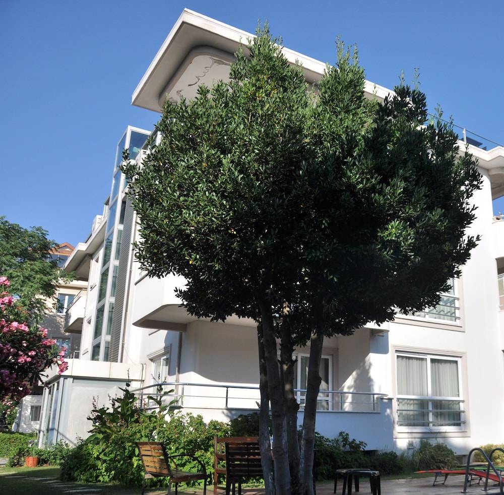 dragos island hotel 1