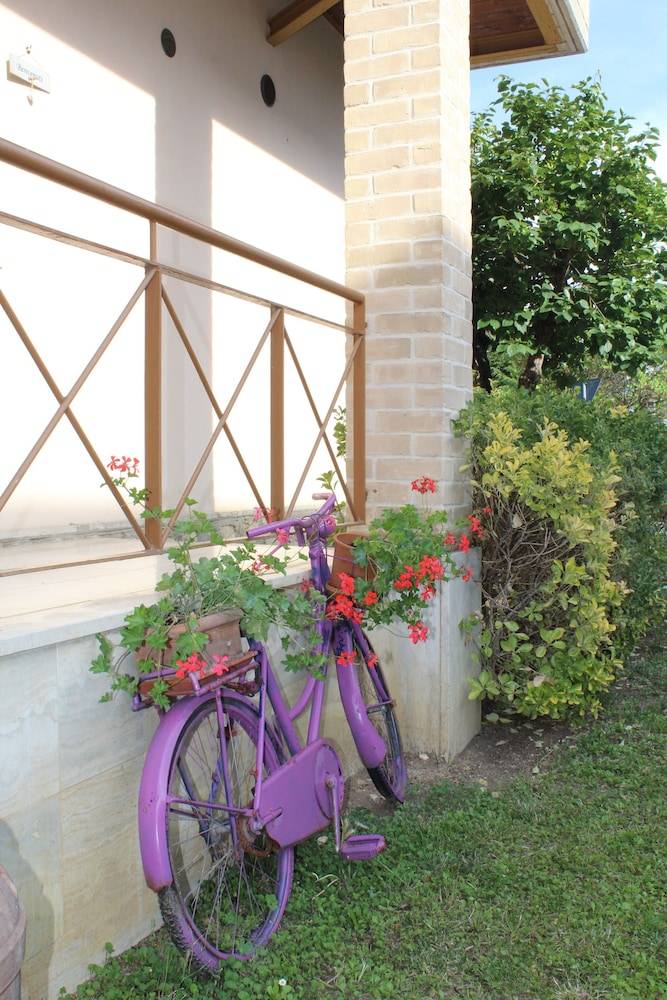 Alle Terme B&B 1