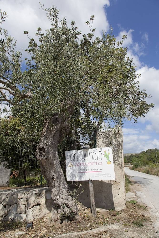 Camping Fiori di Noto 2
