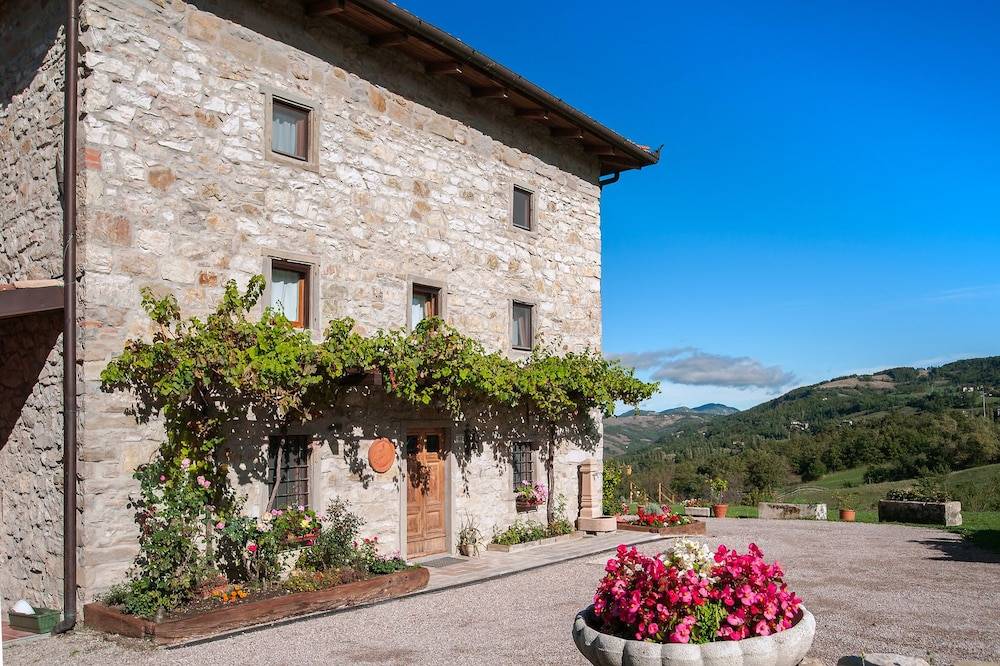Fattoria Ca' di Fatino 1