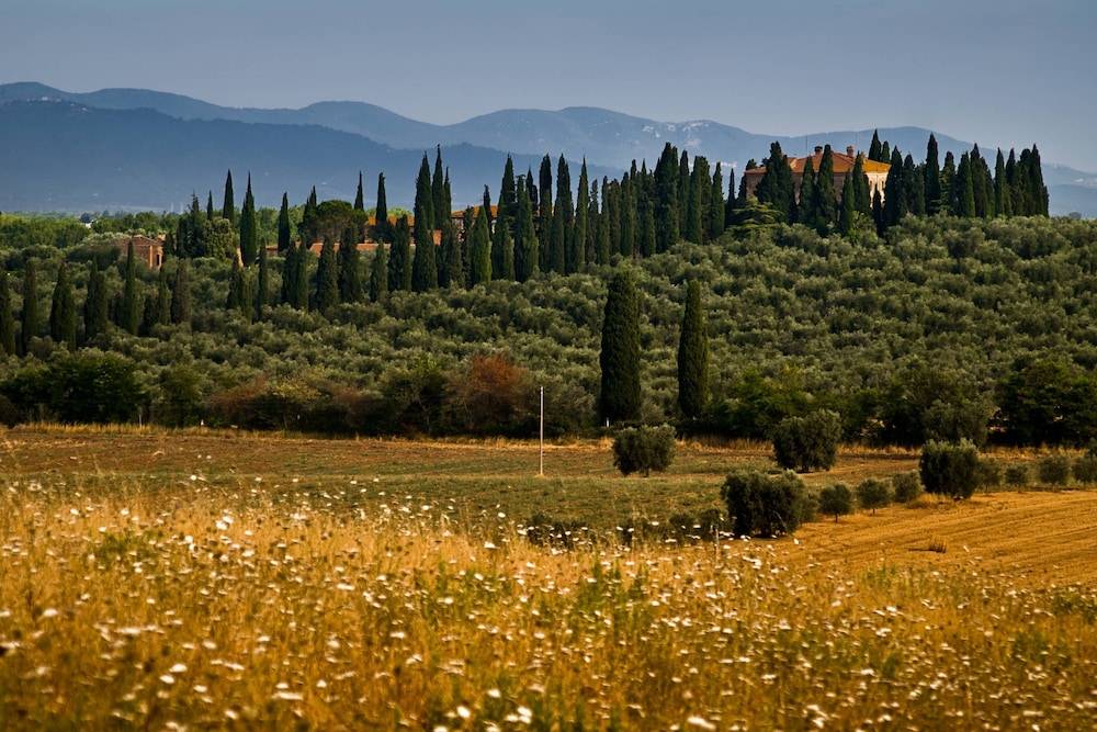 Tenuta di Poggio Cavallo 1