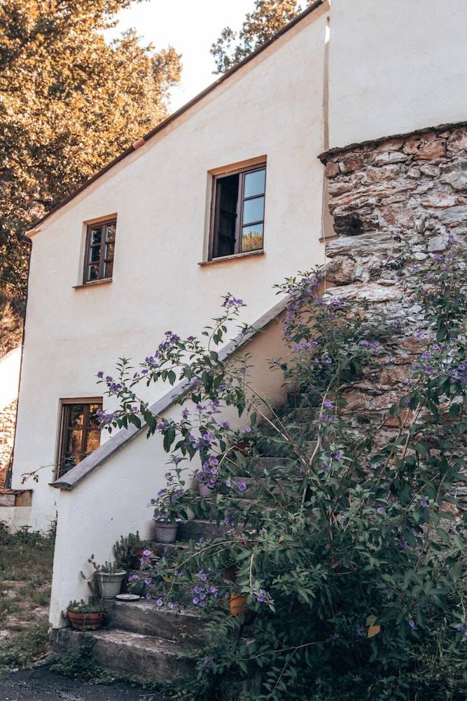 Le Petit Chateau 1