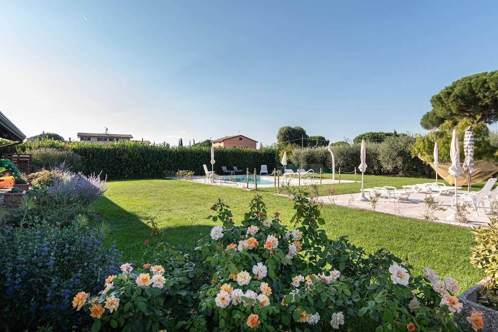 Rosa di Assisi 1