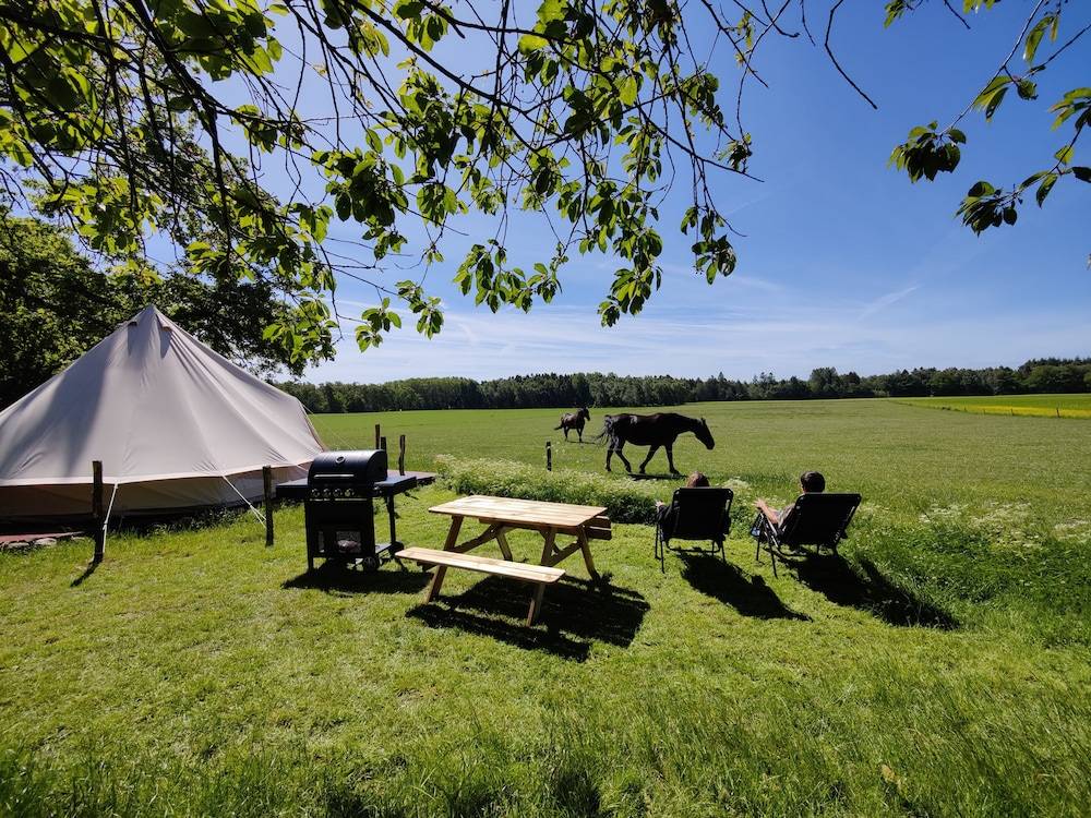 Under Canvas Bornholm 1