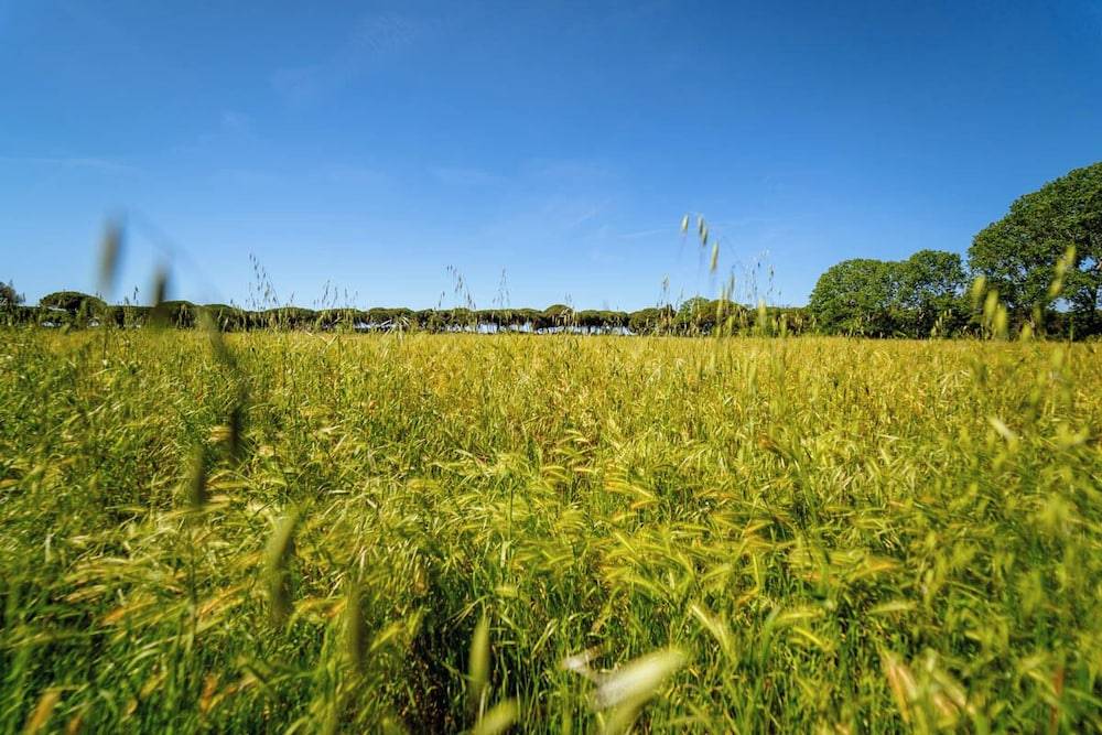 Agriturismo Bio Femminella 1