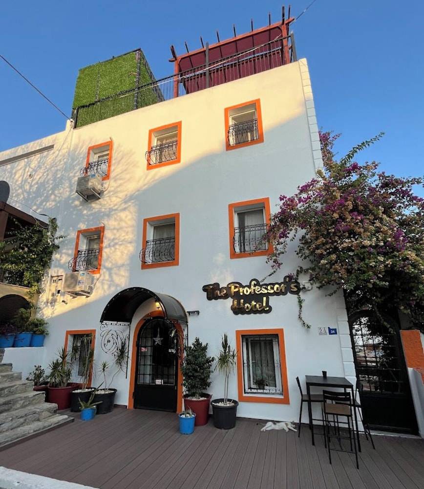 The Professor's Hotel 1