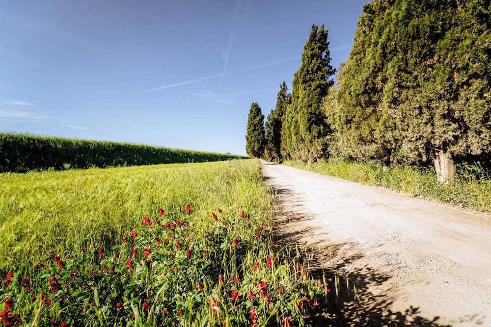 Agriturismo Bio San Mamiliano 1