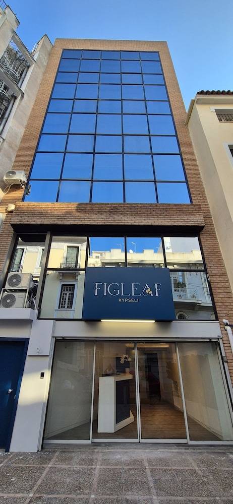 Figleaf Kypseli 2