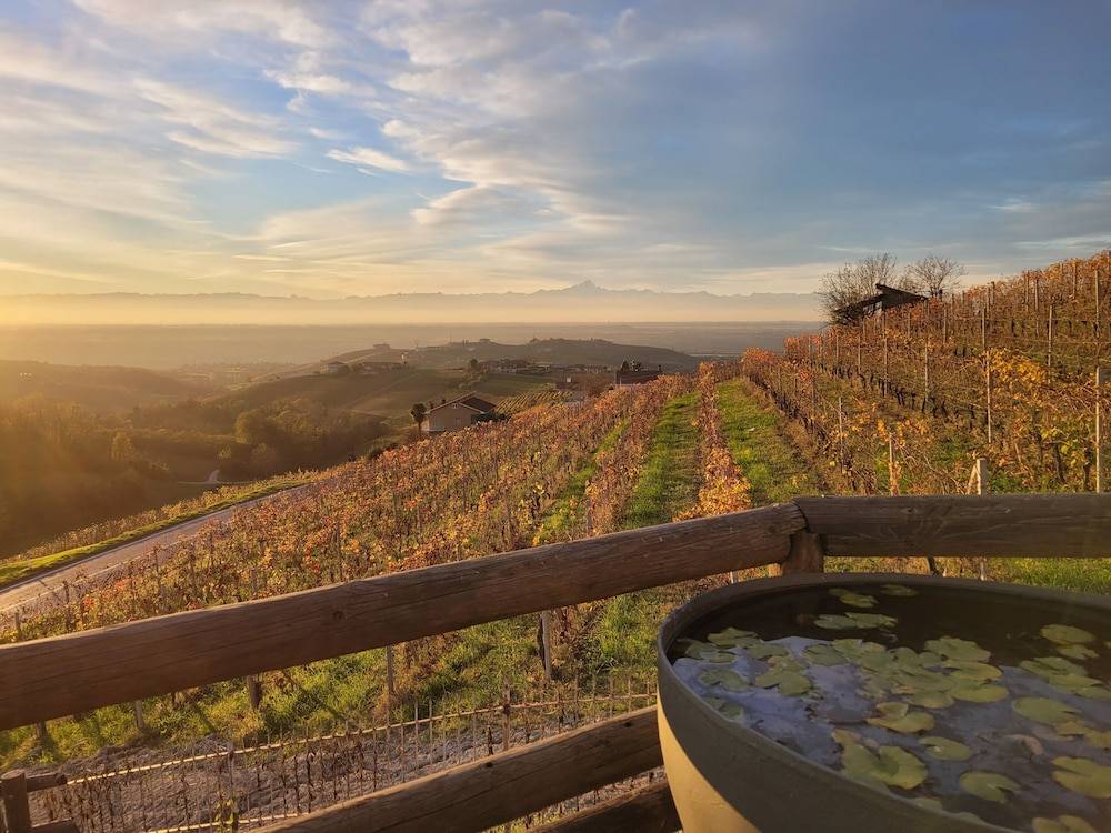 Assiolo Relais 1