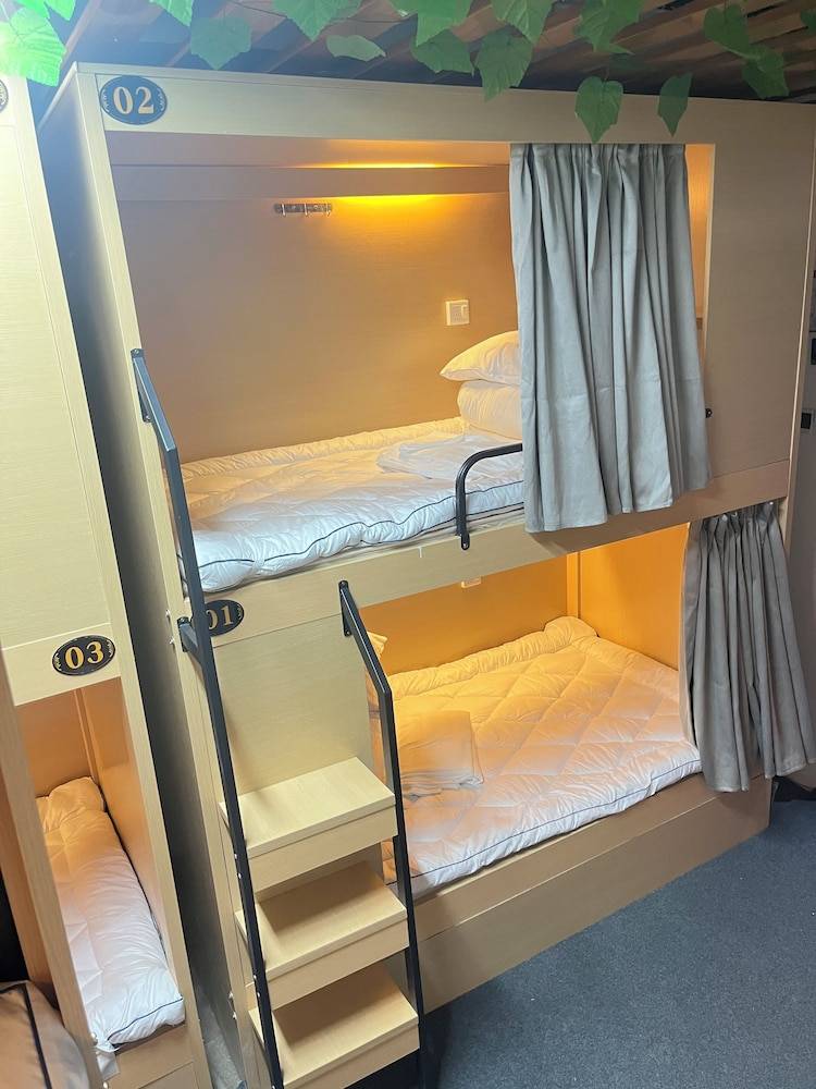 Zhihexing International Youth Hostel 1