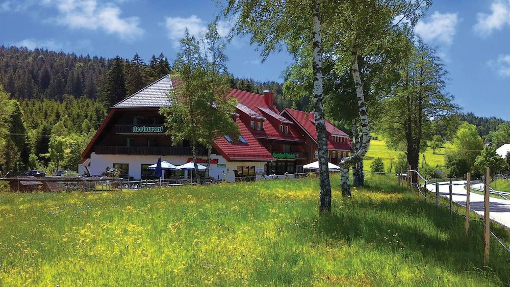 Gasthaus Backhof-Helmle 1