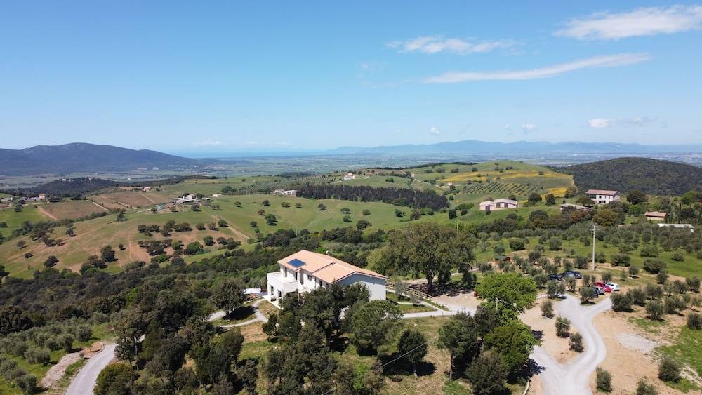 Casale Oleo 1