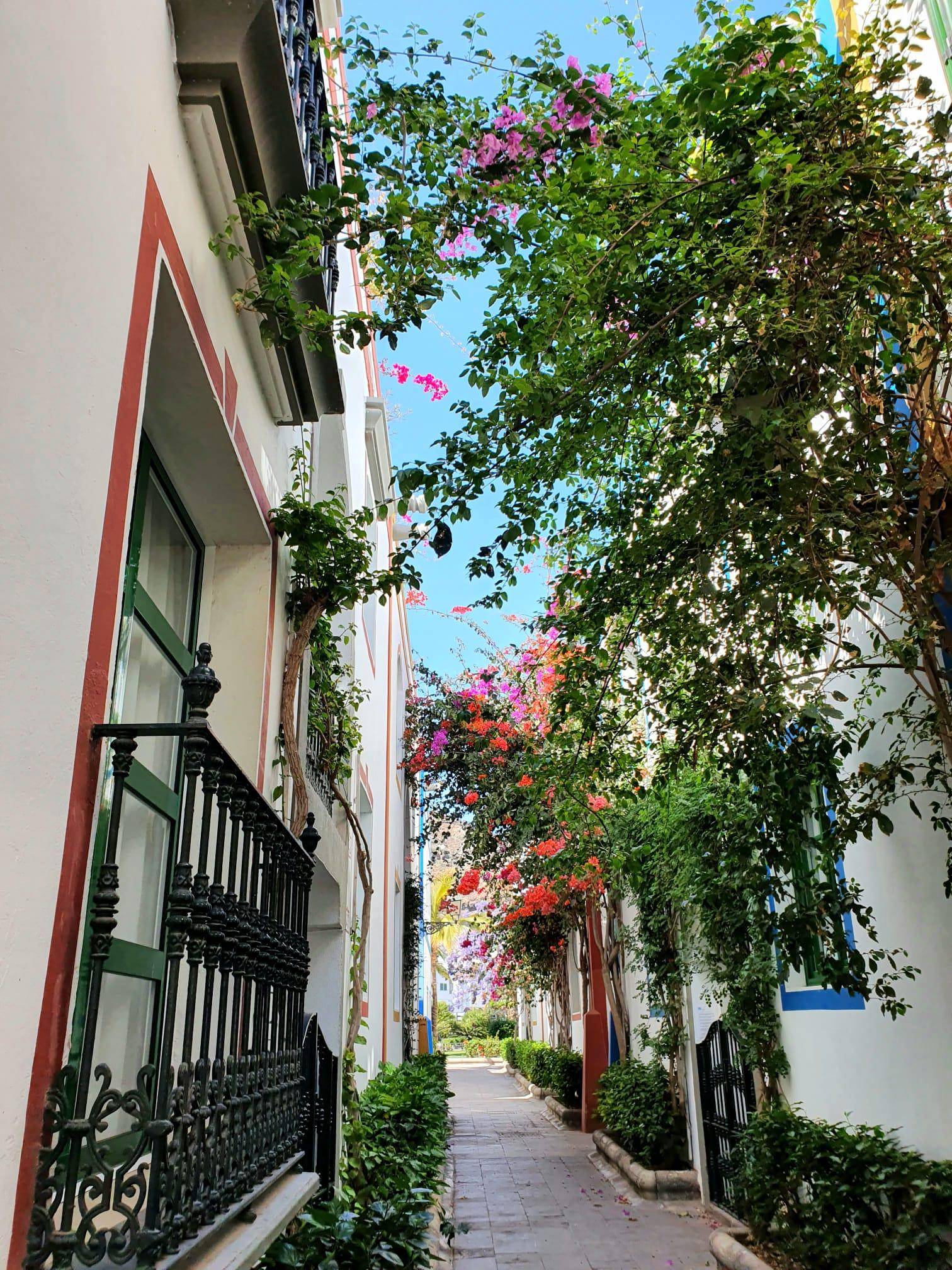 La Venecia de Canarias 1