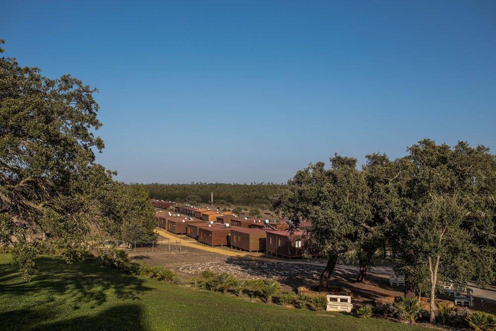 Zmar Eco Experience 2