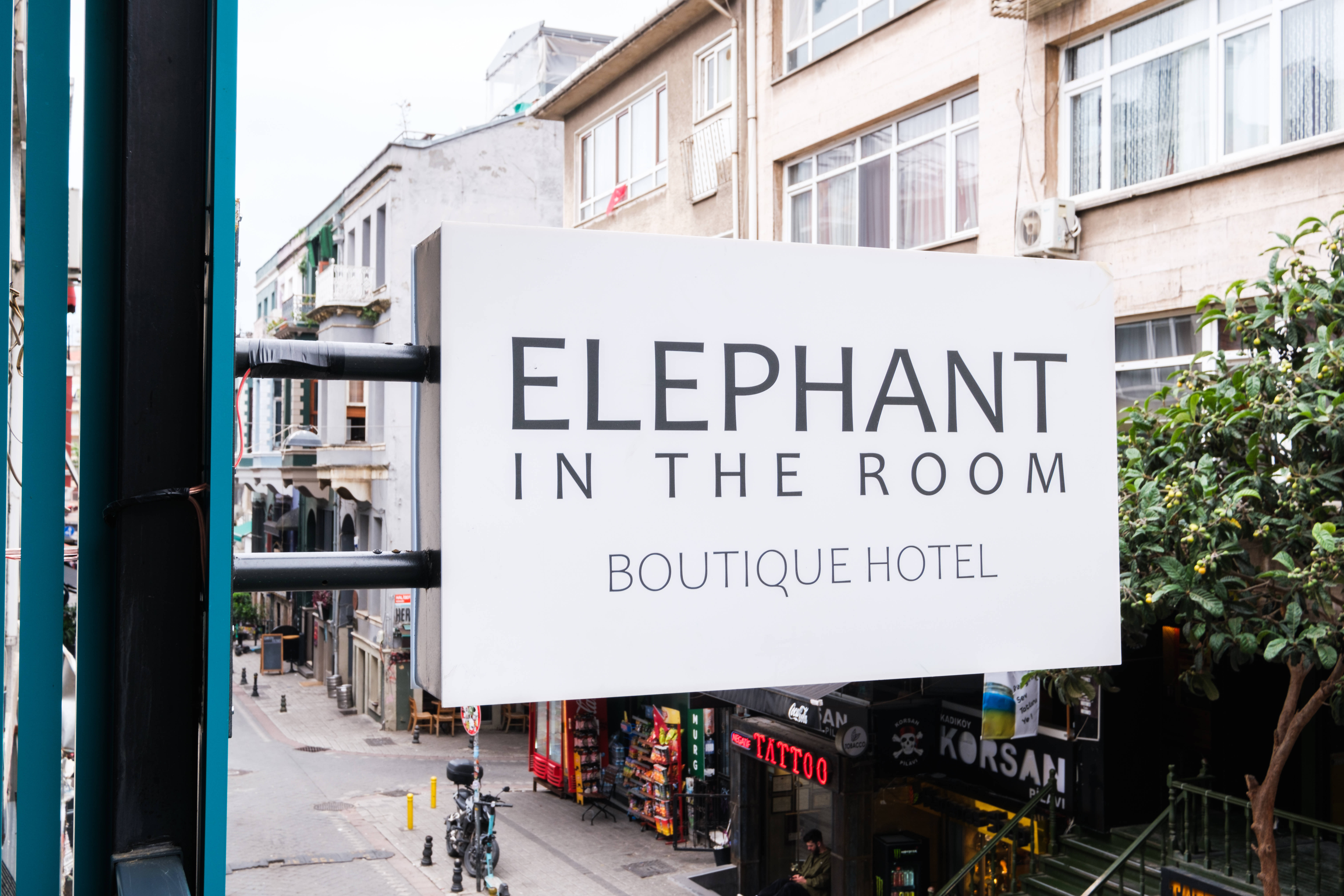 Elephant In The Room 1