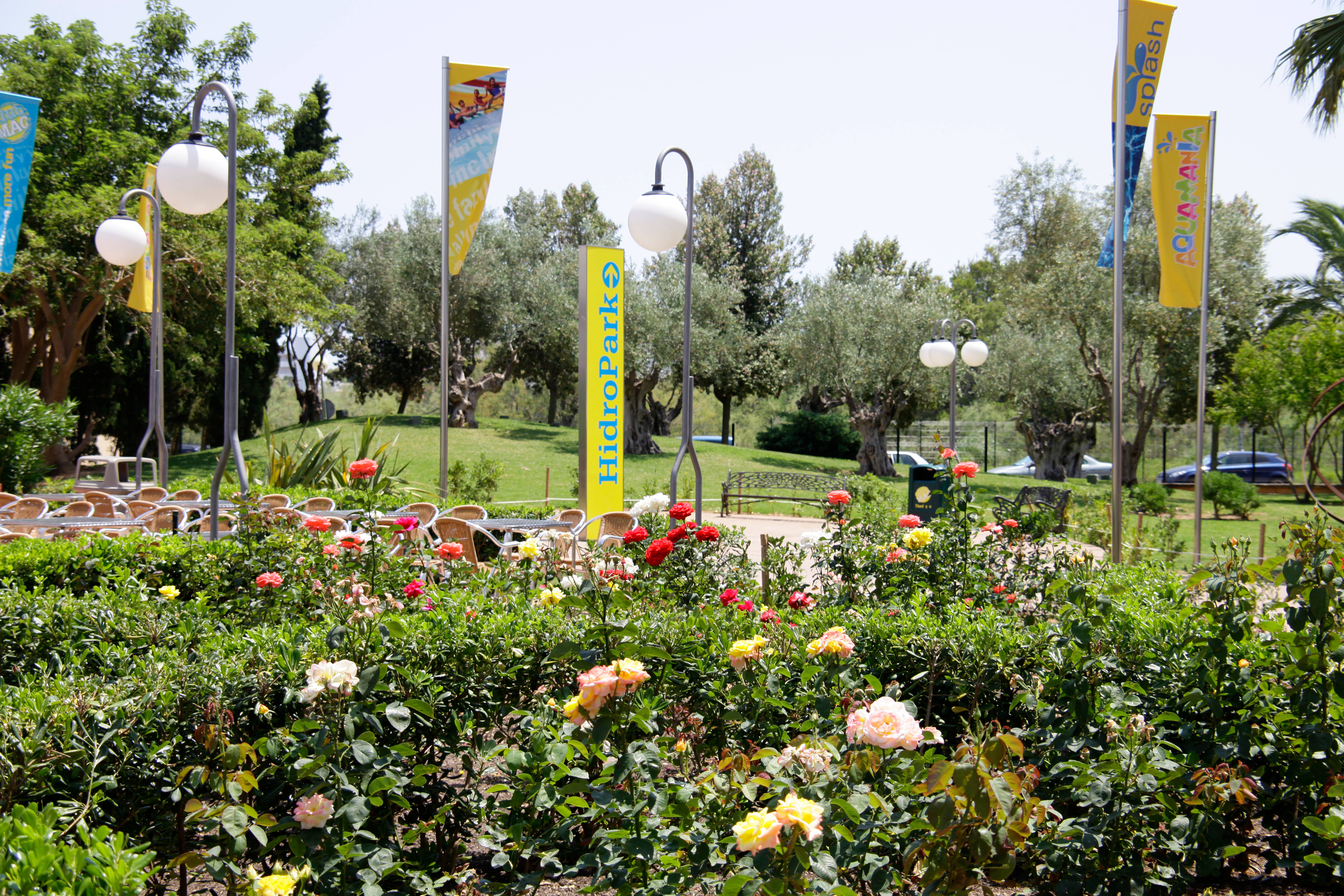 Club Mac Alcudia 2