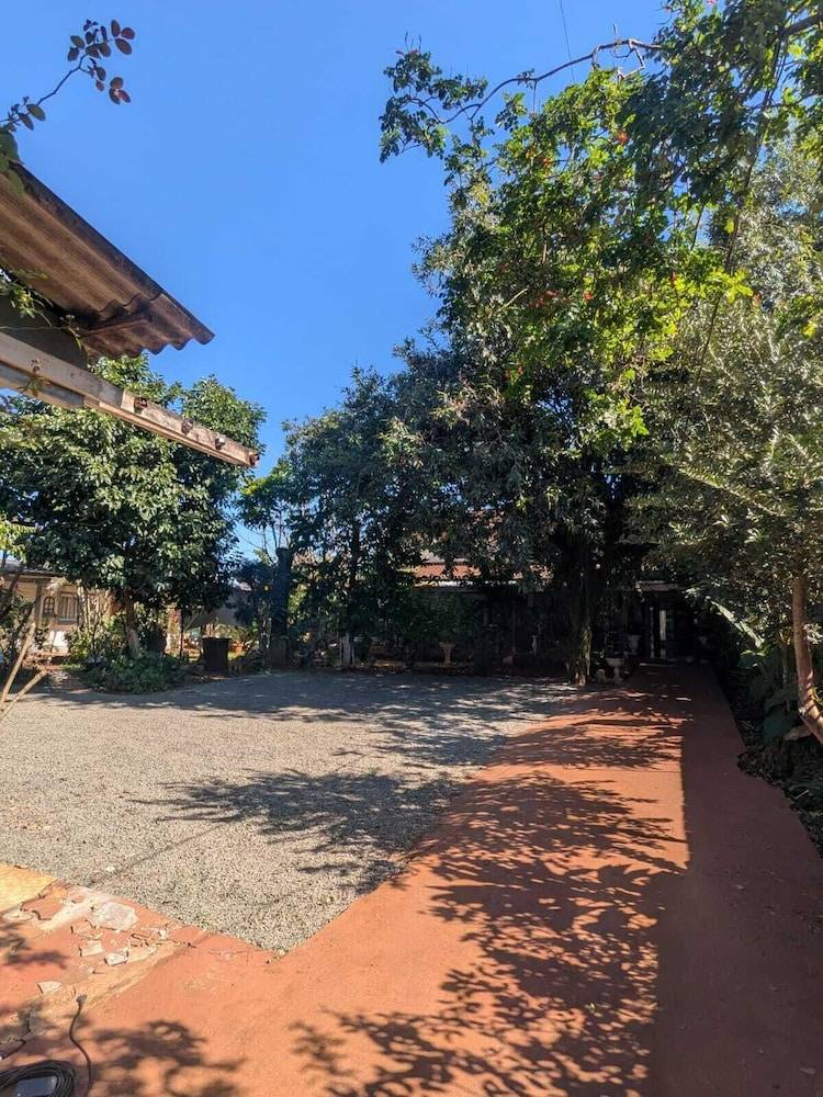 Melizas Garden 1