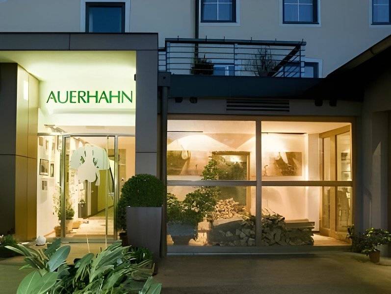 Hotel Restaurant Auerhahn 1