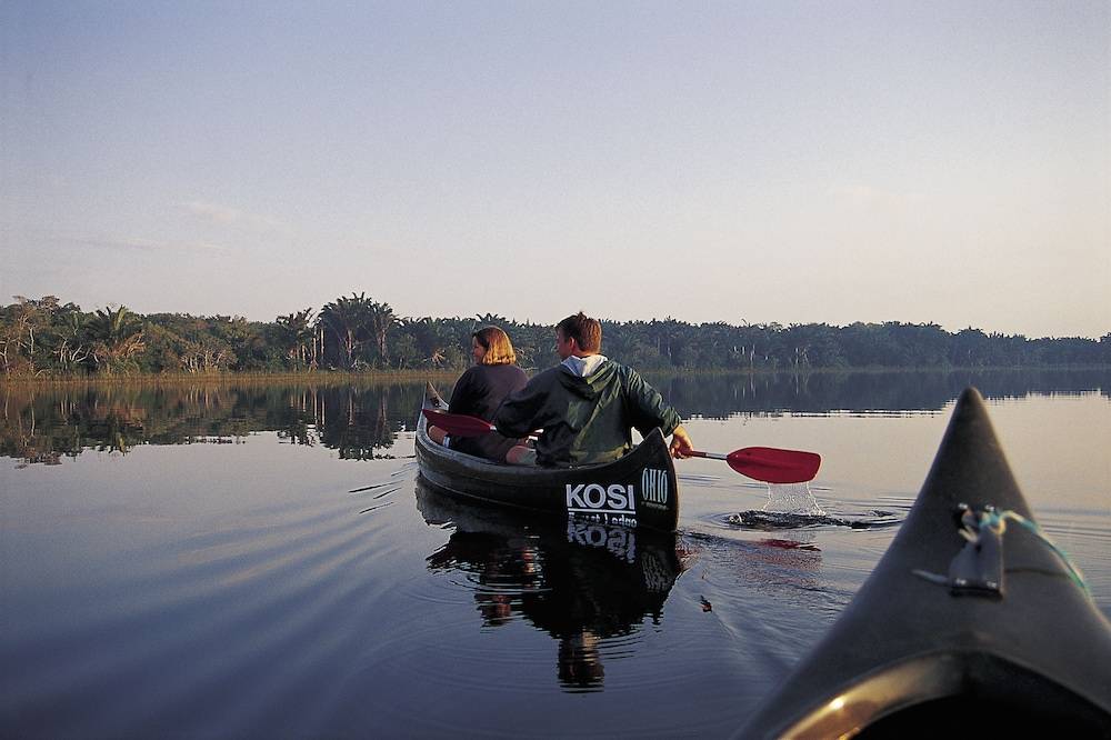 Kosi Forest Lodge 1