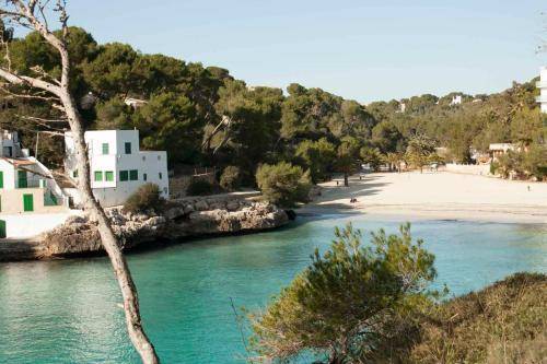 Chalets Torre Nova 2