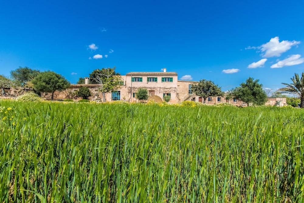 Finca Agroturismo Sa Cova den Borino 1