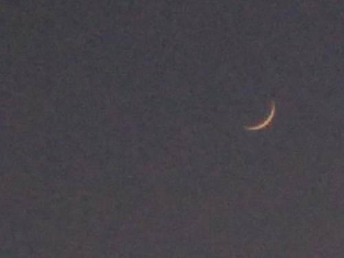 7 Moons B&B 2