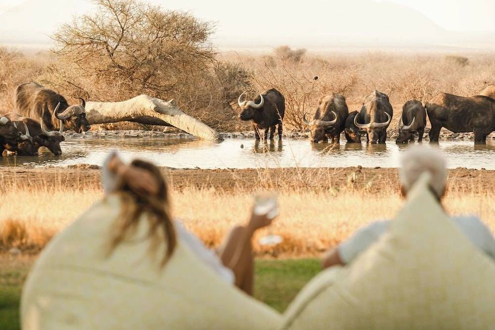 Last Word Madikwe 1