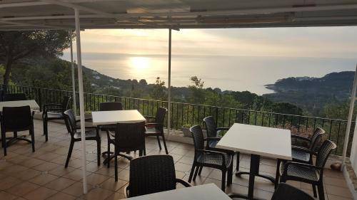 Hostal Sa Barraca - Adults Only 1
