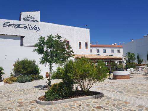 Hotel Entreolivos 1