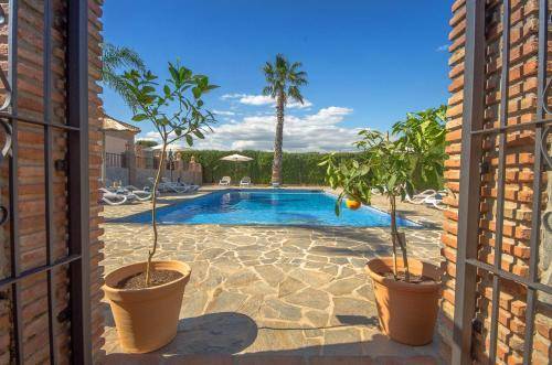 Villa Conmigo Bed & Breakfast 1