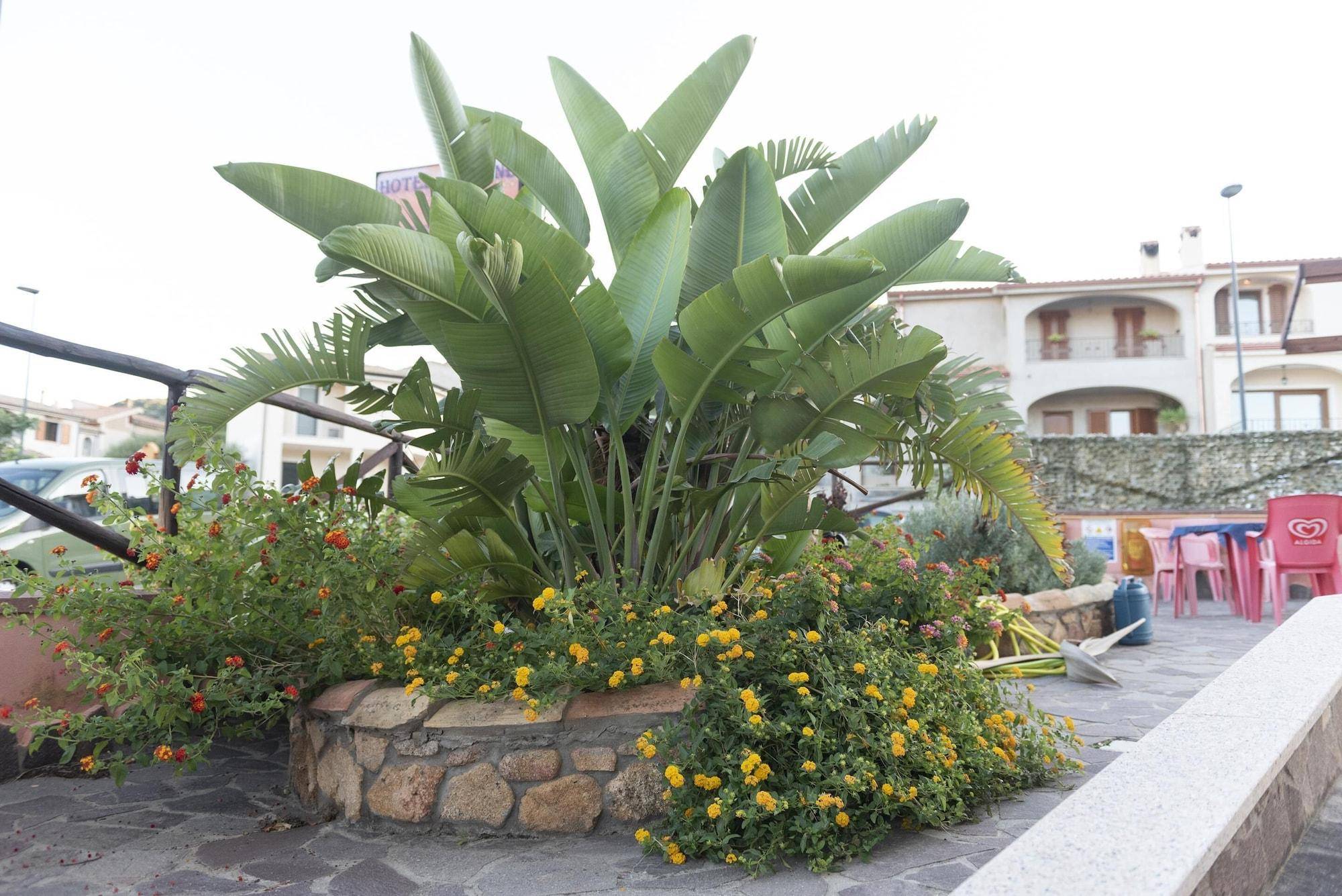 Hotel Jasmine 1