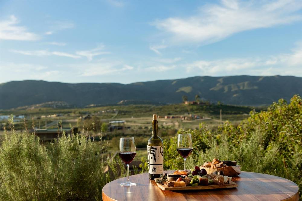 Banyan Tree Veya, Valle de Guadalupe 1